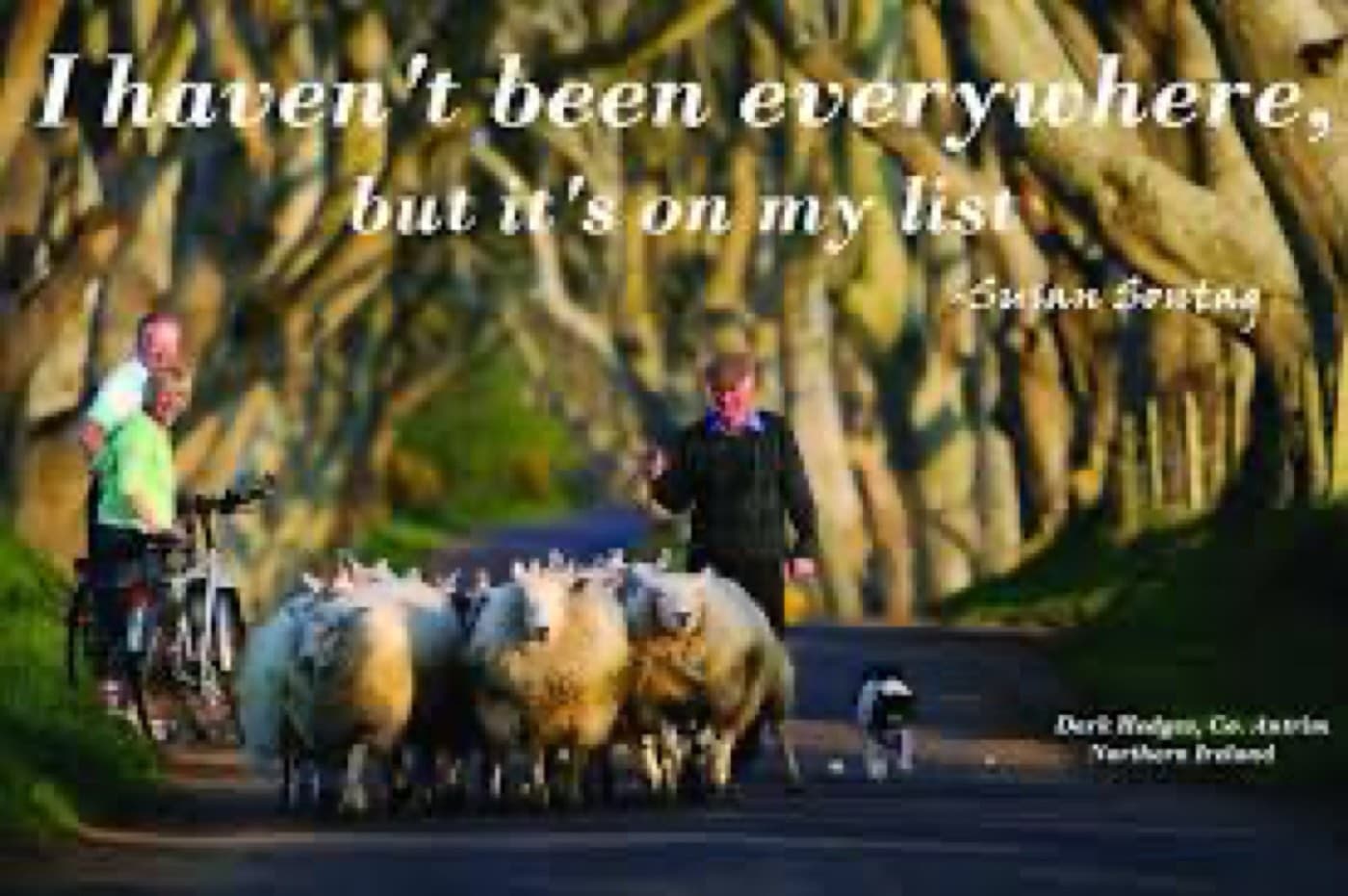 Ireland 